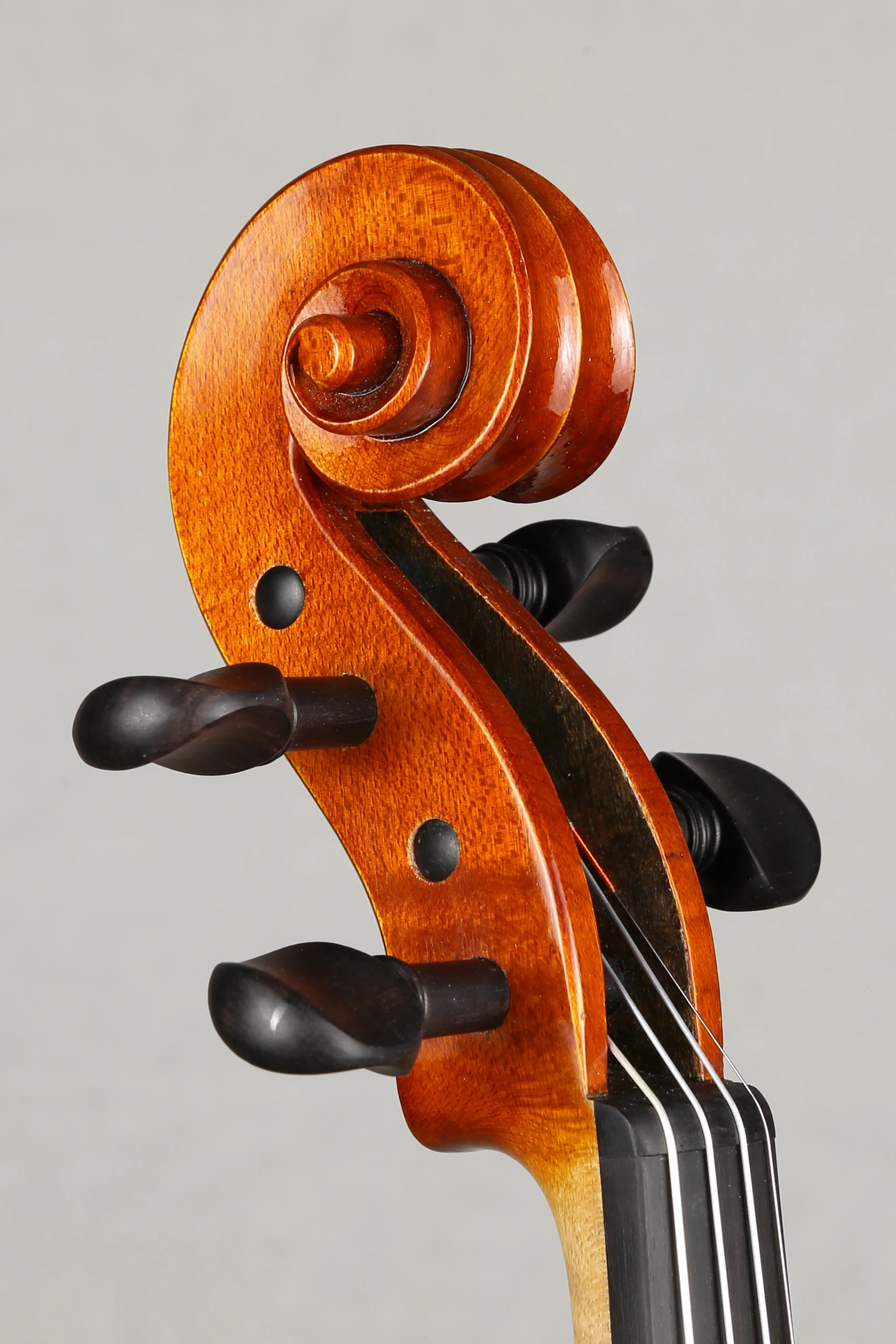 Viool: Musikinstrumentenbauschule (Julian van Kempen), Mittenwald 2020 - Afbeelding 6